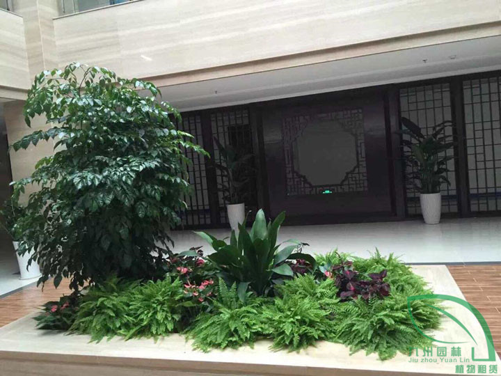 花坛植物组合