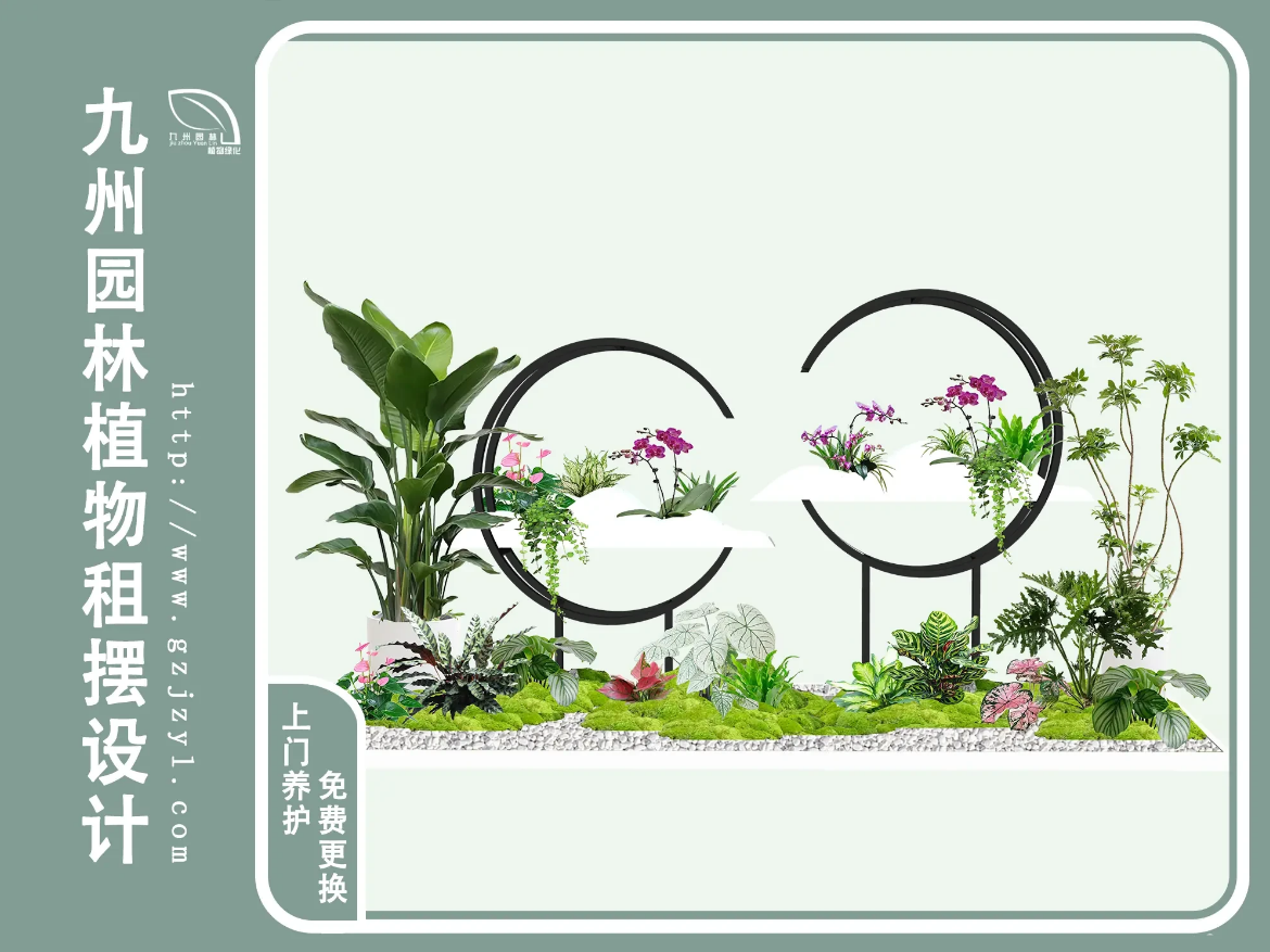 绿植造景