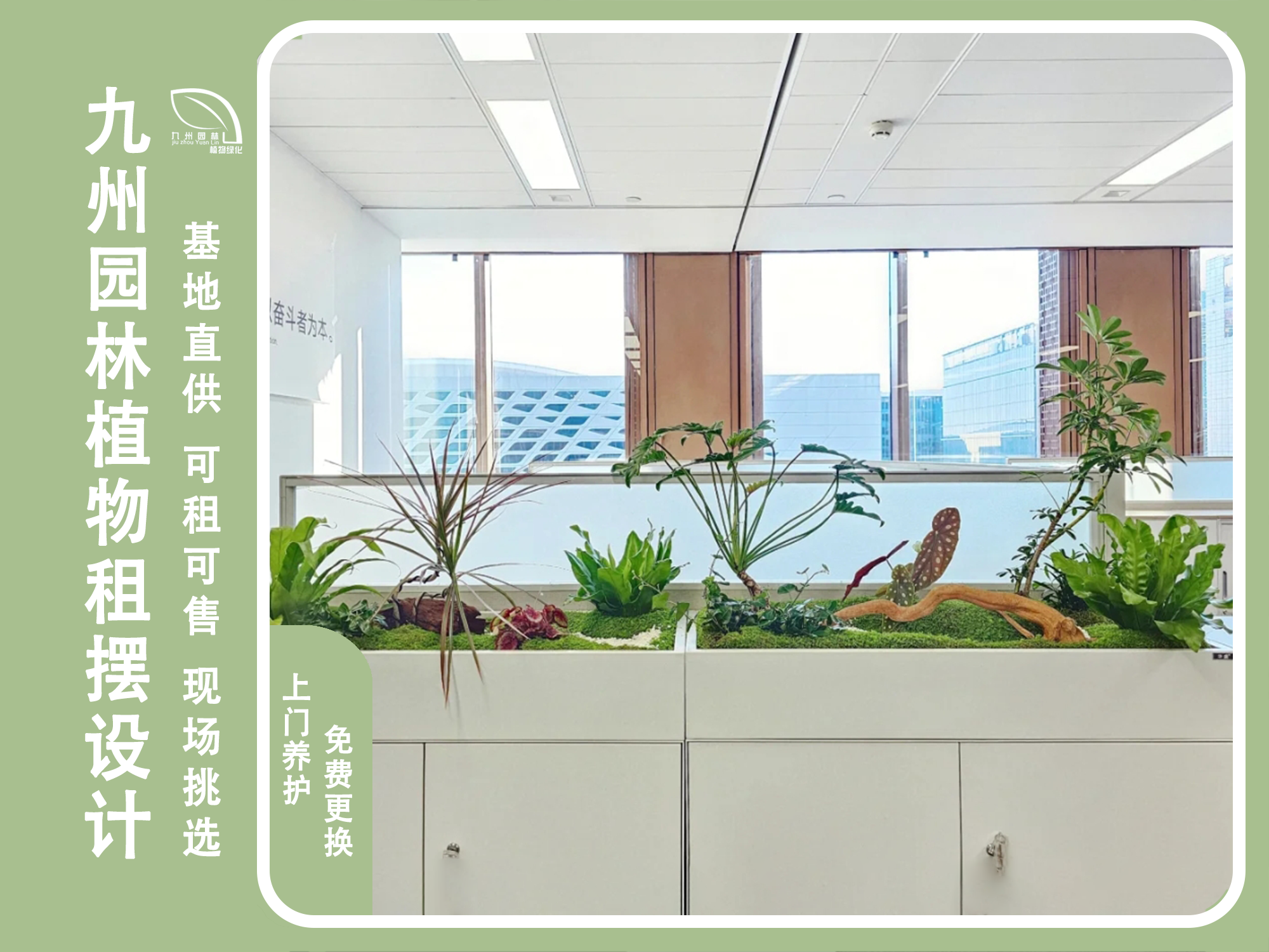 室内绿植造景