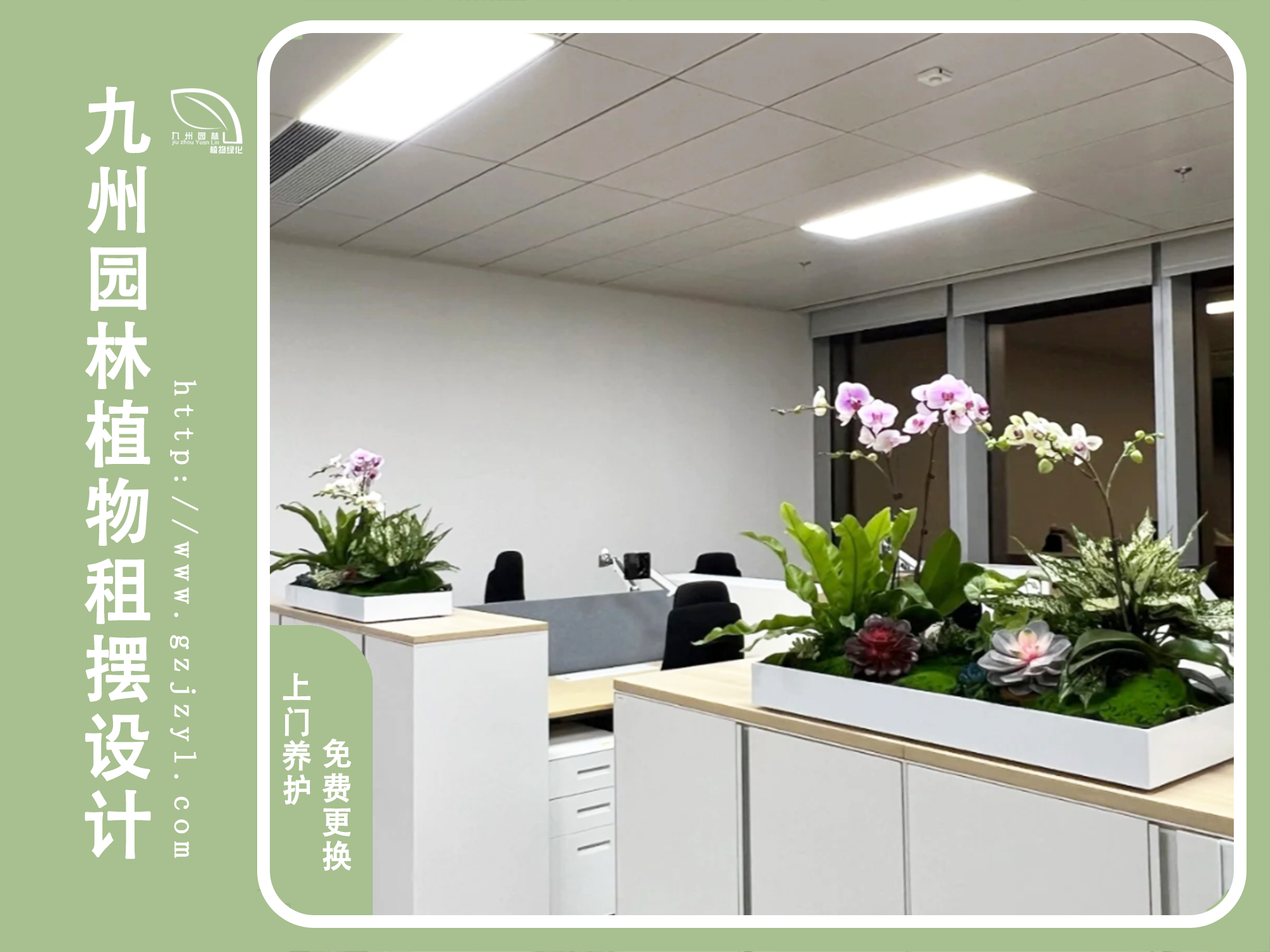 绿植布置