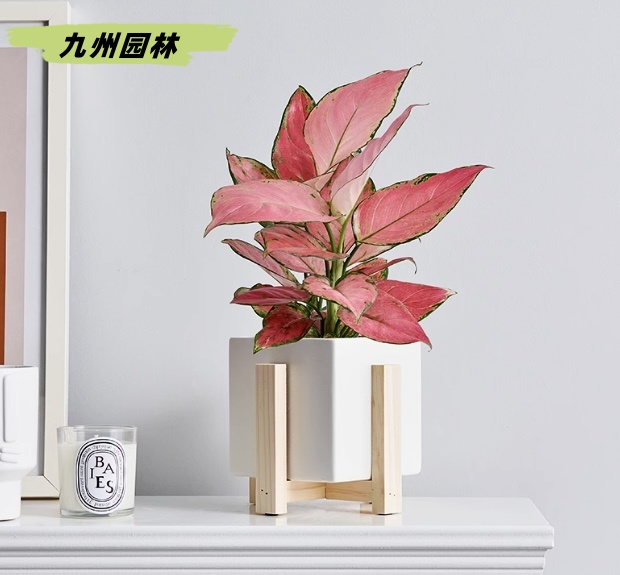 万事如意