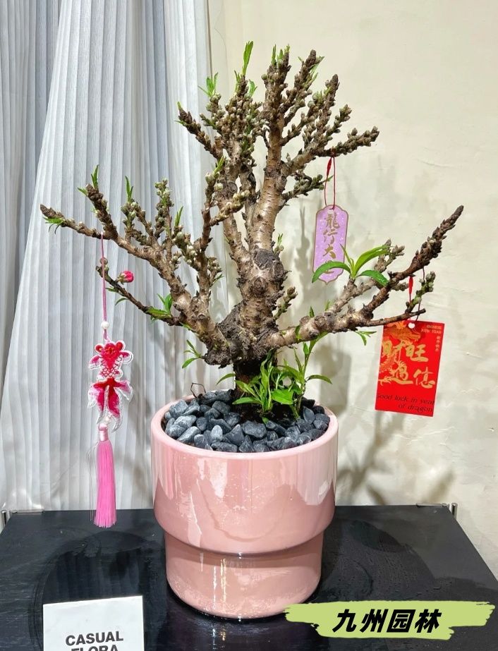 桃花