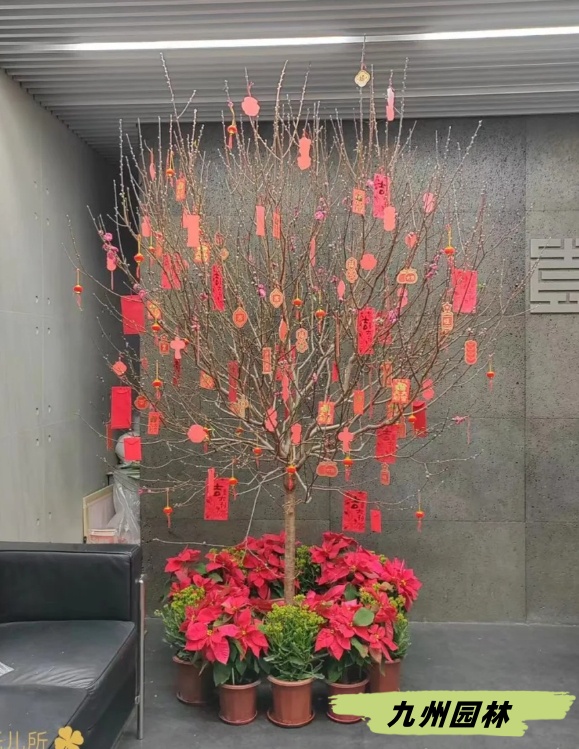 桃树组合